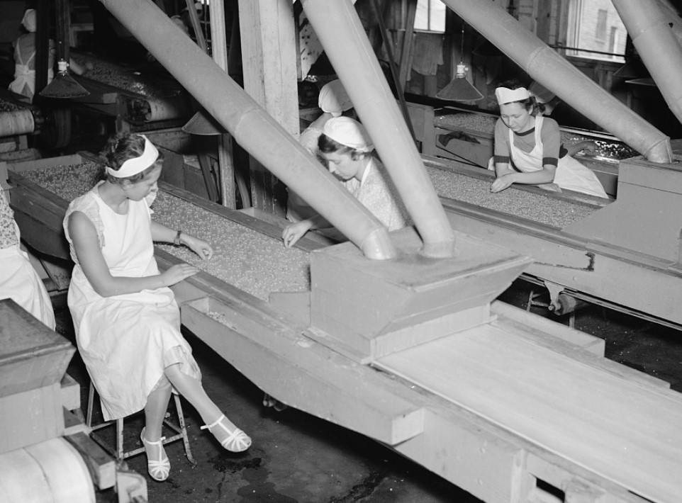 1930-1 | 金屬包裝容器製造 | 三片式鐵罐製造 | 中國製罐金屬股份有限公司