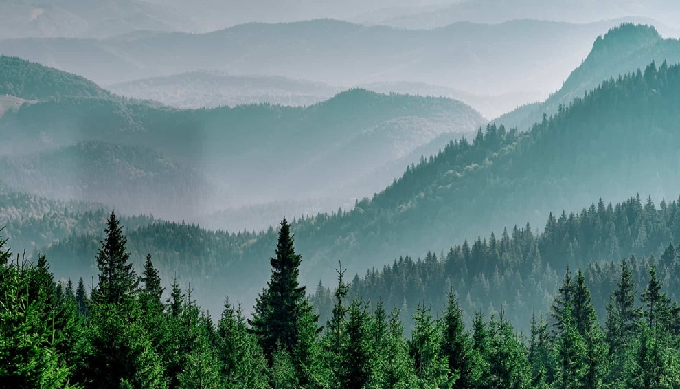 Advantages05 | 金屬包裝容器製造 | 三片式鐵罐製造 | 中國製罐金屬股份有限公司