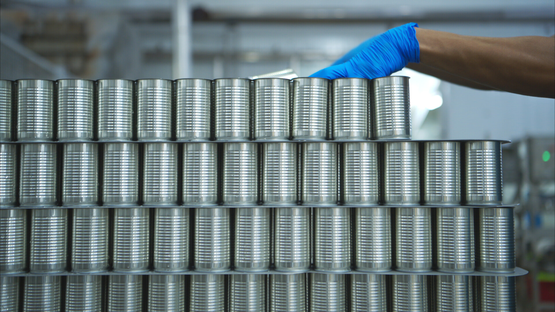 Process and production line in canned fish factory